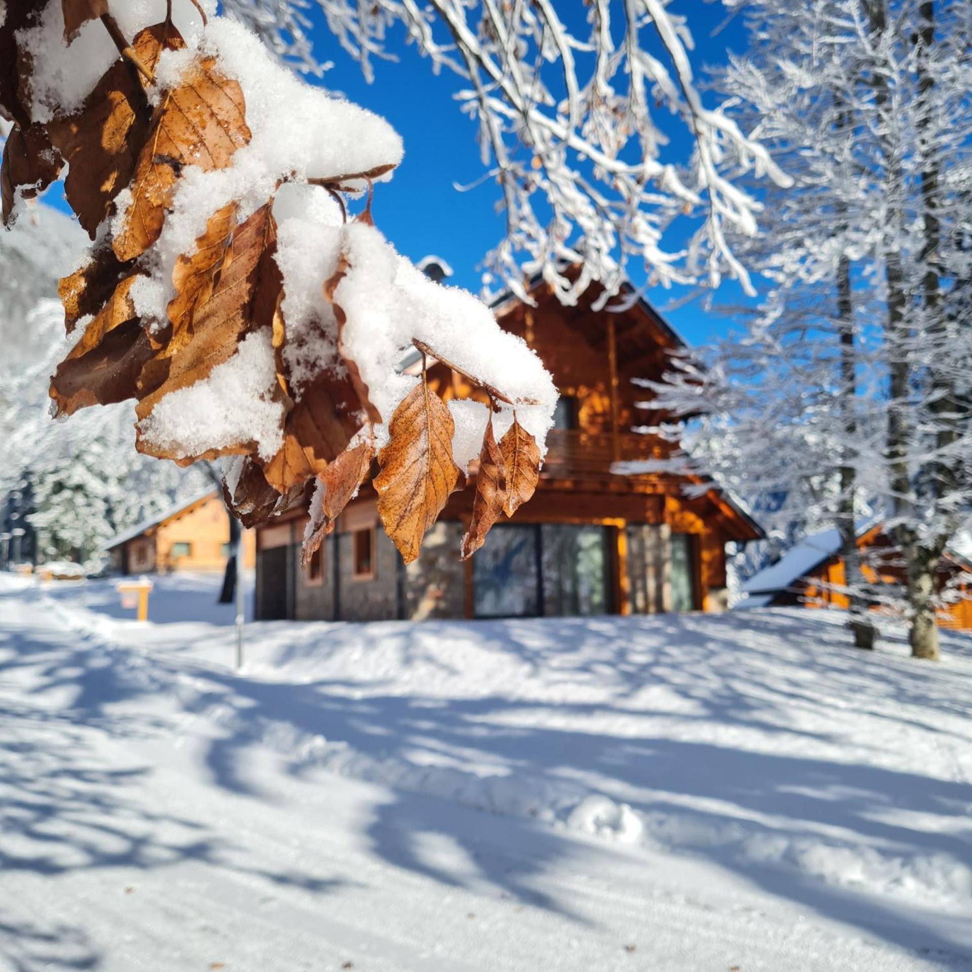 Kile Alpine Resort Valbruna Exterior photo